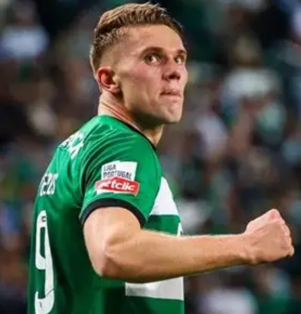 英超球员适应性差异研究&mdash;&mdash;以约克雷斯与沃特金斯转会案例分析